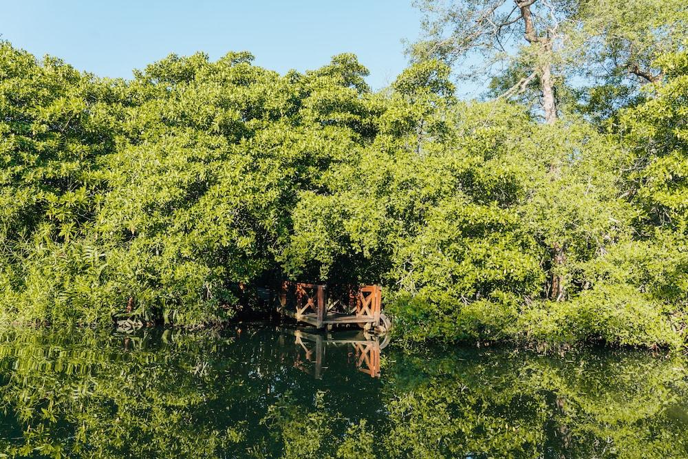 Вілла Jetwing Kurulubedda - Adults Only Ґалле Екстер'єр фото