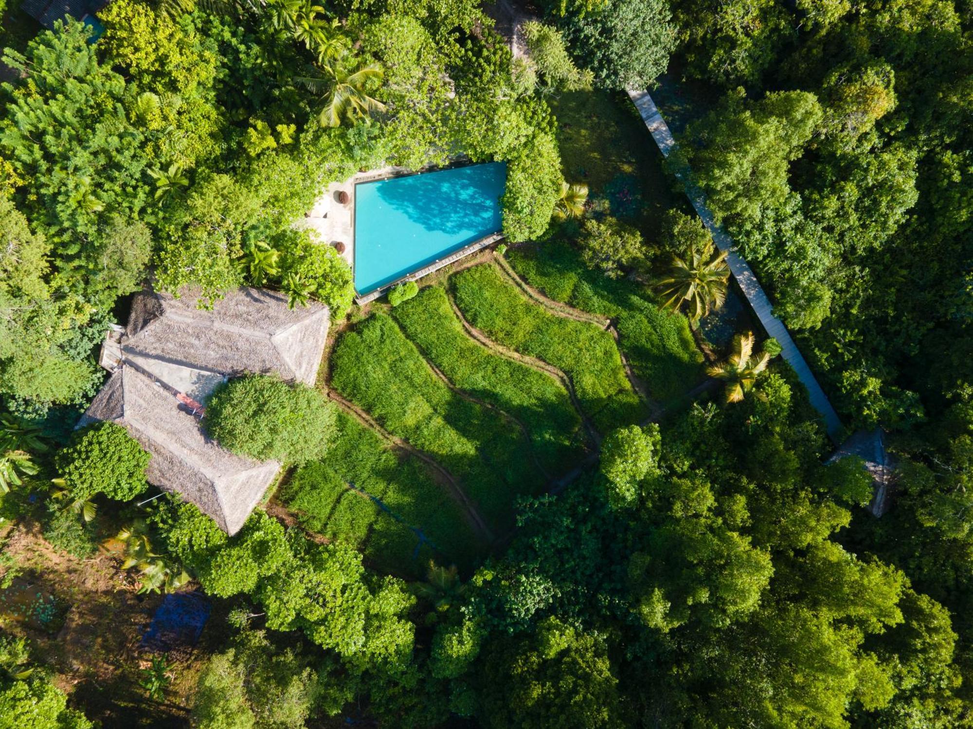 Вілла Jetwing Kurulubedda - Adults Only Ґалле Екстер'єр фото