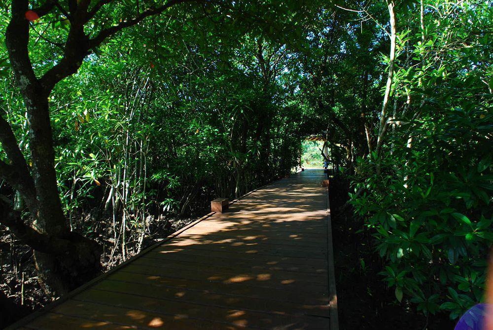 Вілла Jetwing Kurulubedda - Adults Only Ґалле Екстер'єр фото